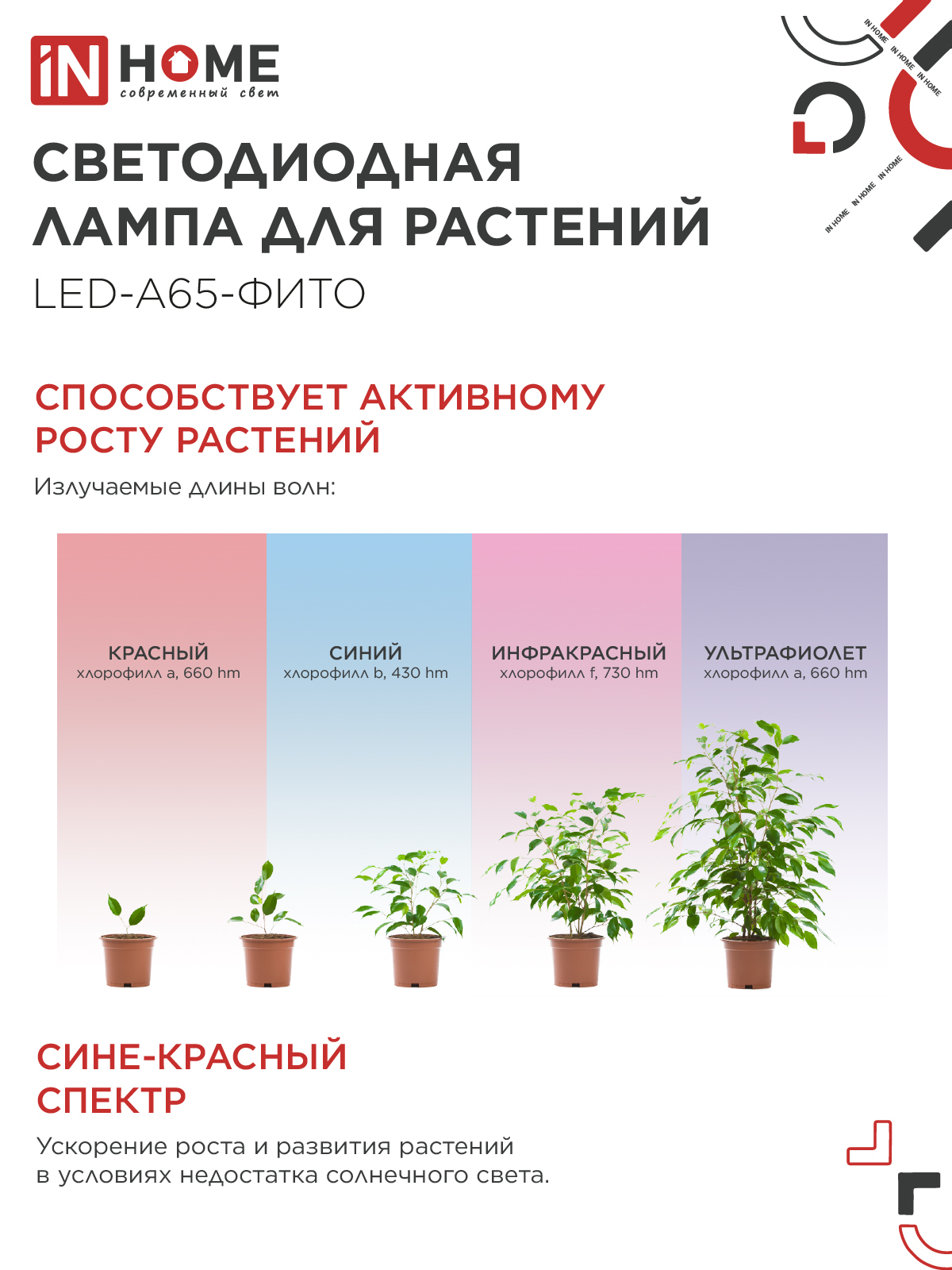 Лампа светодиодная LED-A65 STD-ФИТО красно-синий спектр 25Вт 230В Е27 IN HOME в Хабаровске