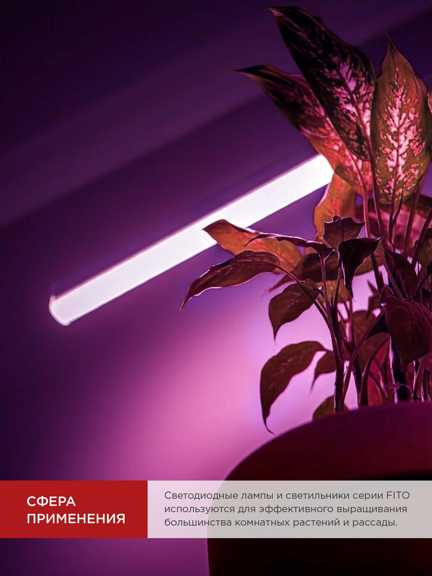 Лампа светодиодная LED-T8-ФИТО 20Вт 230В G13 1200мм IN HOME в Хабаровске