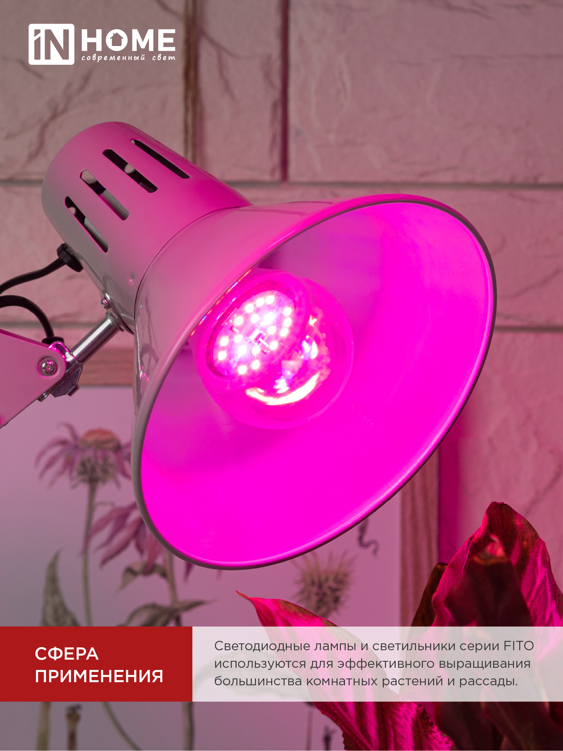 Лампа светодиодная LED-A60 STD-ФИТО красно-синий спектр 15Вт 230В Е27 IN HOME в Хабаровске