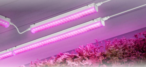 Светильник светодиодный СПБ-Т5 STD-ФИТО