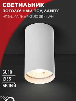 Светильник потолочный НПБ-ЦИЛИНДР-GU10 SBM-WH под GU10 55х100мм белый IN HOME в Хабаровске