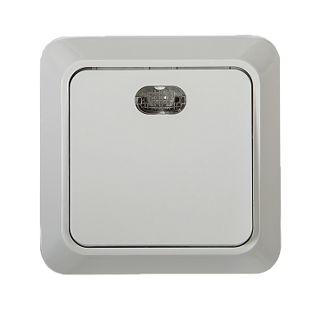 Выключатель одноклавишный с подсветкой BOLLETO белый накладной 7121 IN HOME в Хабаровске