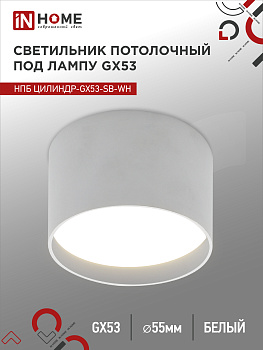 Светильник потолочный НПБ ЦИЛИНДР-GX53-SB-WH под лампу GX53 85x55мм белый IN HOME в Хабаровске