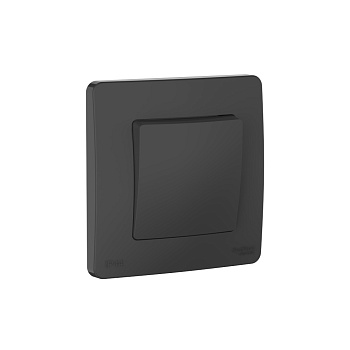 Переключатель одноклавишный  IP44 BLANCA SE антрацит в Хабаровске