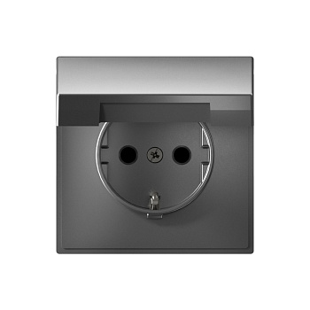 ARTGALLERY РОЗЕТКА с заземл. со шторк. с крышкой, 16А, IP20, механизм, СТАЛЬ в Хабаровске
