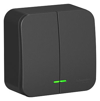 Выключатель двухклавишный BLANCA SE накладной с подсветкой с изолирующей пластиной антрацит в Хабаровске