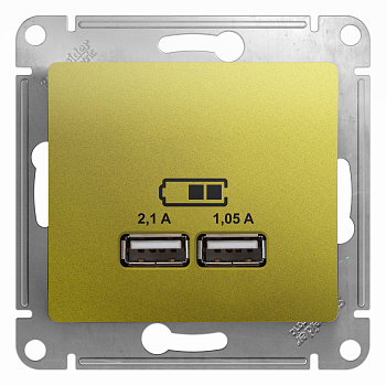 Розетка USB 2100 мА Glossa SE фисташковая в Хабаровске