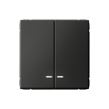 ARTGALLERY 2-клавишный ВЫКЛЮЧАТЕЛЬ с подсветкой, сх.5а, 10АХ, механизм, БАЗАЛЬТ в Хабаровске