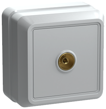 РТВ20-ОБ Розетка 1местная телевизионная ОКТАВА белый IEK в Хабаровске