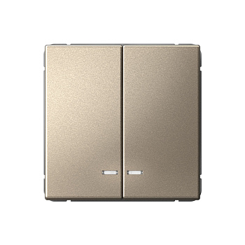 ARTGALLERY 2-клавишный ВЫКЛЮЧАТЕЛЬ с подсветкой, сх.5а, 10АХ, механизм, ШАМПАНЬ в Хабаровске