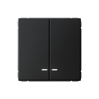 ARTGALLERY 2-клавишный ВЫКЛЮЧАТЕЛЬ с подсветкой, сх.5а, 10АХ, механизм, КАРБОН в Хабаровске