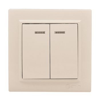 Выключатель 2-клавишный СП, Минск, с индикатором 10А, бежевый EKF в Хабаровске