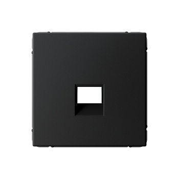 ARTGALLERY НАКЛАДКА для информационных функций типа Keystone, КАРБОН в Хабаровске