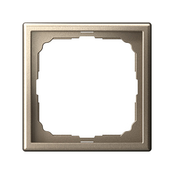 ARTGALLERY 1-постовая РАМКА, ШАМПАНЬ в Хабаровске