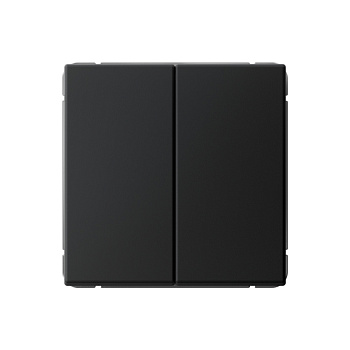 ARTGALLERY 2-клавишный ПЕРЕКЛЮЧАТЕЛЬ, сх.6/2, 10АХ, механизм, КАРБОН в Хабаровске