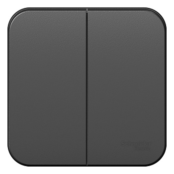 Выключатель двухклавишный BLANCA SE накладной с изолирующей пластиной антрацит в Хабаровске