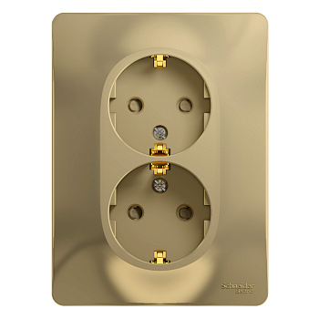 Розетка двойная Glossa SE с заземлением со шторками титан в сборе в Хабаровске