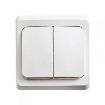 Выключатель двухклавишный ЭТЮД SE подсветкой белый в Хабаровске