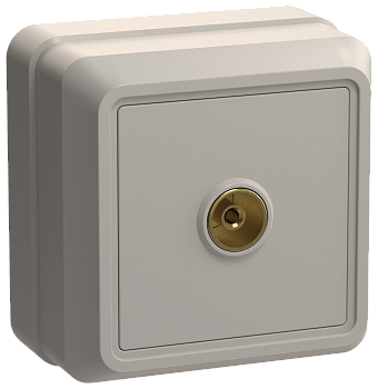 РТВ20-ОКм Розетка 1местная телевизионная ОКТАВА (кремовый) IEK в Хабаровске