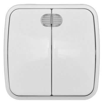 Минск Выключатель 2-клавишный ОП 10А с индикатором белый  EKF Basic в Хабаровске