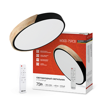 Светильник светодиодный SCANDY SIMPLE-75RCB 75Вт 230В 3000-6500K 6000Лм 400x50мм с пультом ДУ черный IN HOME в Хабаровске