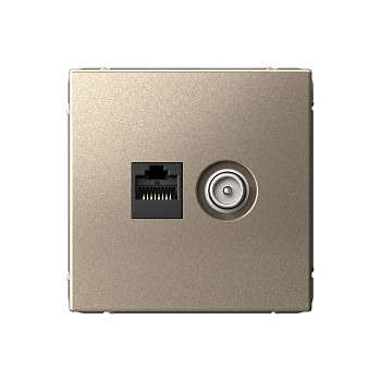 ARTGALLERY РОЗЕТКА двойная ТВ + компьютерная RJ45, кат. 5Е, ШАМПАНЬ в Хабаровске