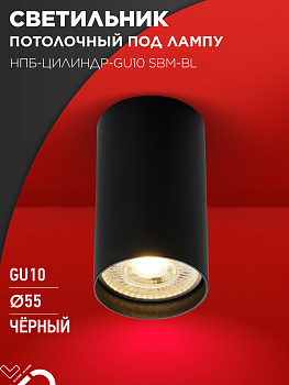 Светильник потолочный НПБ-ЦИЛИНДР-GU10 SBM-BL под GU10 55х100мм черный IN HOME в Хабаровске