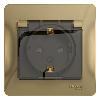 Розетка одинарная с заземлением Glossa SE IP44 со шторками с крышкой титан в сборе в Хабаровске