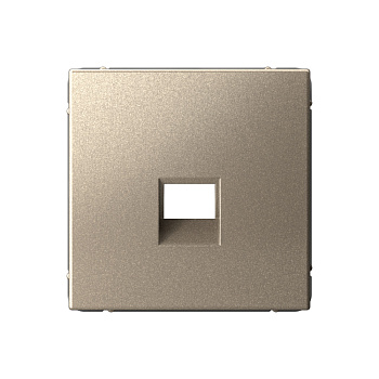 ARTGALLERY НАКЛАДКА для информационных функций типа Keystone, ШАМПАНЬ в Хабаровске