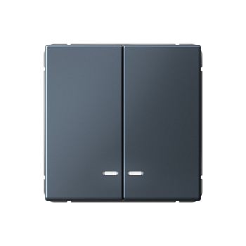 ARTGALLERY 2-клавишный ВЫКЛЮЧАТЕЛЬ с подсветкой, сх.5а, 10АХ, механизм, ГРИФЕЛЬ в Хабаровске